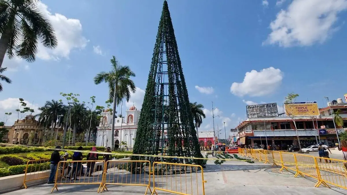 pino navideño tapachula